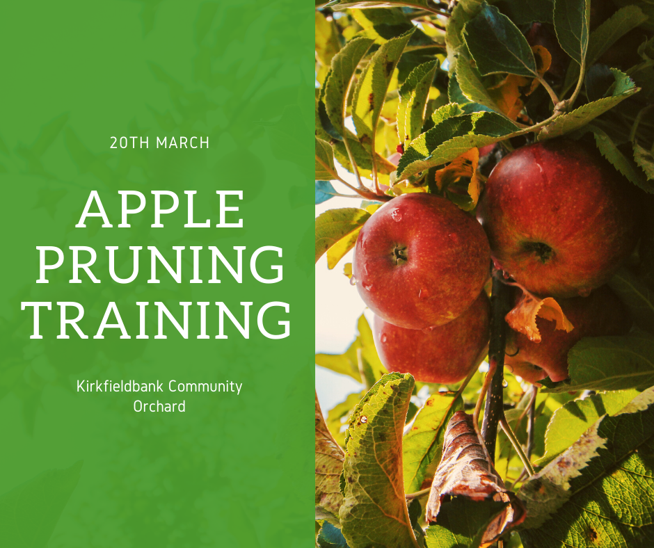 Apple Pruning Training